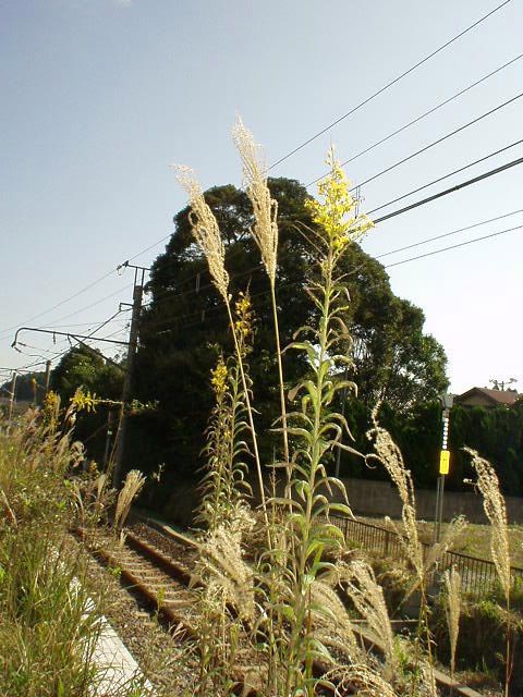 In der Nähe des Bahnhofs