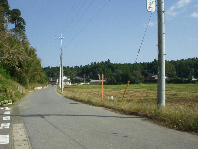 Der Rückweg